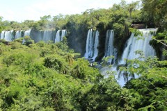 IMG_0910-PN-Iguazú-ARG-Paseo-Superior