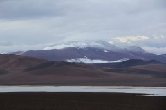 IMG_1598-RP-Las-Vicuňas-Laguna-Brava