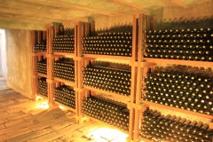 IMG_1955-San-Juan-Bodega-Graffigna