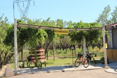 IMG_2071-Maipú-Bodega-Viňa-El-Cerno