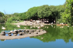 IMG_3503-Mar-del-Plata-Aquarium