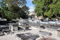 IMG_2056-Synagogue-Cemetery