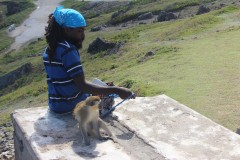 IMG_2143-Barbados-Wildlife-Nature-Reserve