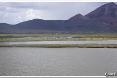 542-PN-Lauca-Lago-Chungará