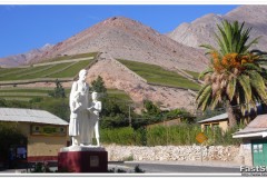 652-Valle-Elqui-Monte-Grande