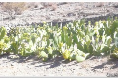 679-Hacienda-de-los-Andes