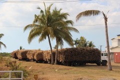 713-Lautoka-Sugar-Mill