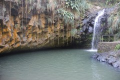 IMG_2740-Annandale-Falls