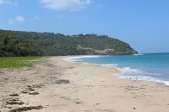 IMG_2895-Levera-Beach