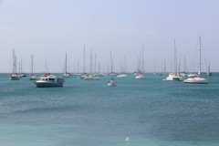 IMG_3211-Tyrrel-Bay-Carriacou-Yacht-Club