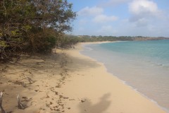 IMG_3282-Petit-Carenage-Beach