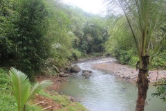 fotky-Indonésie-2013-1249-Badui-Villages-Gajebok