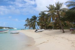 IMG_2452-Grenadines-Tobago-Cays