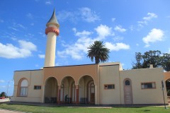 IMG_4238-Montevideo-Buceo-Museo-Zoológico