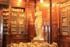 IMG_4341-Libreria-Venus-de-Millo