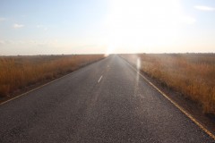 IMG_8815-Bangweulu-Wetlands